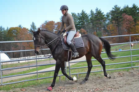 Re-training OTTB Eric's Flame at Turning Leaf Horses in Grafton MA 508 481-1550